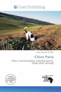 Chien Paria