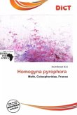 Homogyna pyrophora Homogyna pyrophora