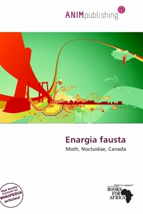 Enargia fausta