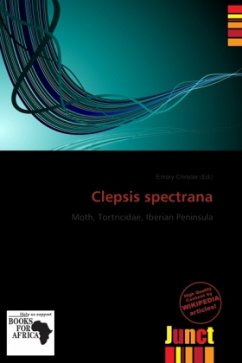 Clepsis spectrana