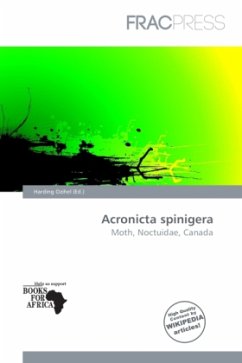 Acronicta spinigera