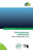 Chamanthedon xanthopasta Chamanthedon xanthopasta