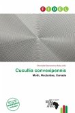Cucullia convexipennis Cucullia convexipennis