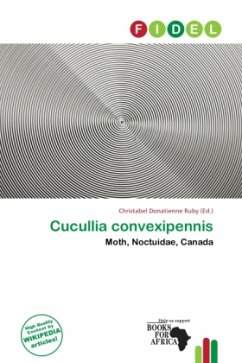 Cover Cucullia convexipennis