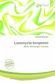 Lasionycta benjamini