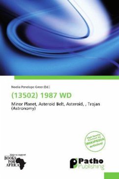 (13502) 1987 WD