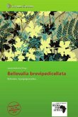 Bellevalia brevipedicellata