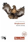 Bergbussard Bergbussard