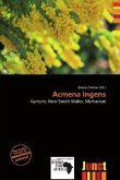 Acmena Ingens Acmena Ingens