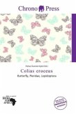 Colias croceus Colias croceus
