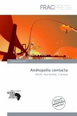 Andropolia contacta Andropolia contacta