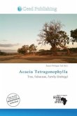 Acacia Tetragonophylla
