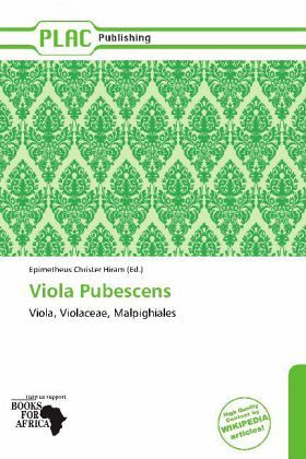 Viola Pubescens Viola Pubescens