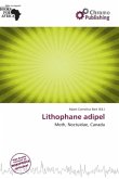 Lithophane adipel