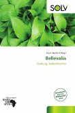 Bellevalia