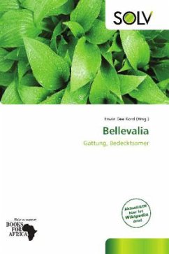 Bellevalia