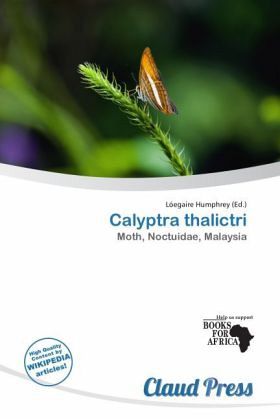Calyptra thalictri