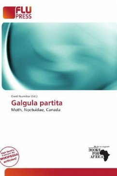 Galgula partita