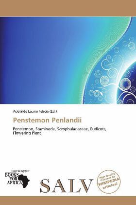 Penstemon Penlandii Penstemon Penlandii