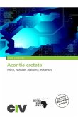 Acontia cretata Acontia cretata