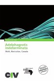 Adelphagrotis indeterminata Adelphagrotis indeterminata