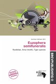 Euzophera semifuneralis Euzophera semifuneralis