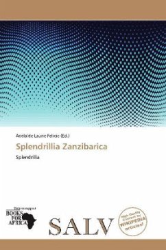 Cover Splendrillia Zanzibarica