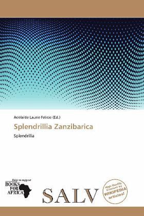 Splendrillia Zanzibarica