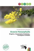 Acacia Harpophylla