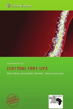(181706) 1991 UY3