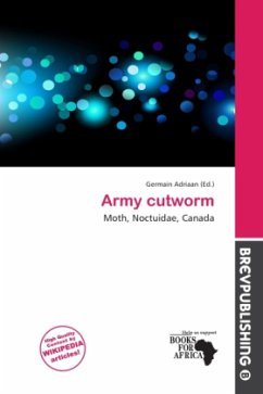 Army cutworm