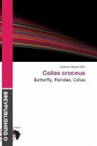 Colias croceus Colias croceus