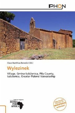 Cover Wylezinek