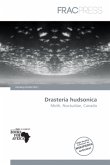 Drasteria hudsonica Drasteria hudsonica