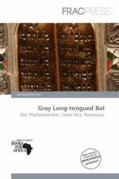 Gray Long-tongued Bat