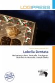 Lobelia Dentata Lobelia Dentata