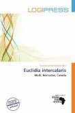 Euclidia intercalaris Euclidia intercalaris