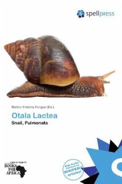 Otala Lactea