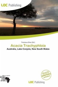 Acacia Trachyphloia