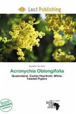 Acronychia Oblongifolia