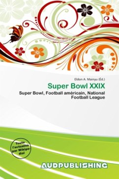 Super Bowl XXIX