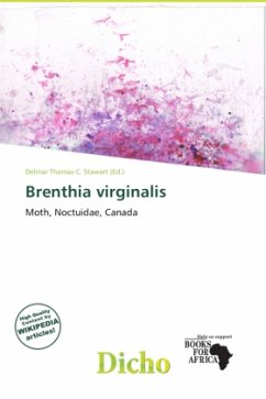 Brenthia virginalis