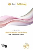 Chamanthedon hilariformis