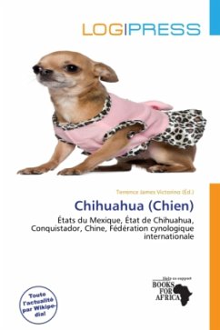 Chihuahua (Chien)