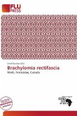 Brachylomia rectifascia