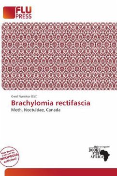 Brachylomia rectifascia