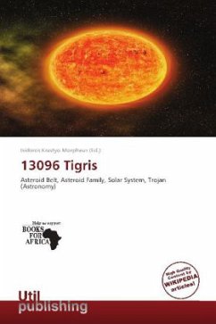 Cover 13096 Tigris