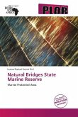 Natural Bridges State Marine Reserve