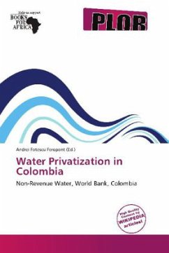 Water Privatization in Colombia