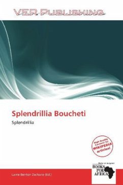 Splendrillia Boucheti